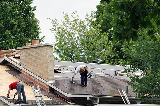 Roof Gutter Cleaning in Cana, VA