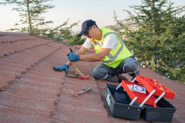 Roof Waterproofing Services in Cana, VA